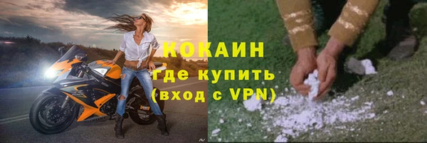 гашик Пересвет