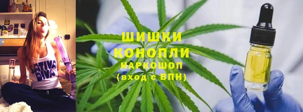 сатива Переславль-Залесский