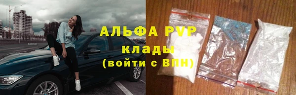 гашик Пересвет