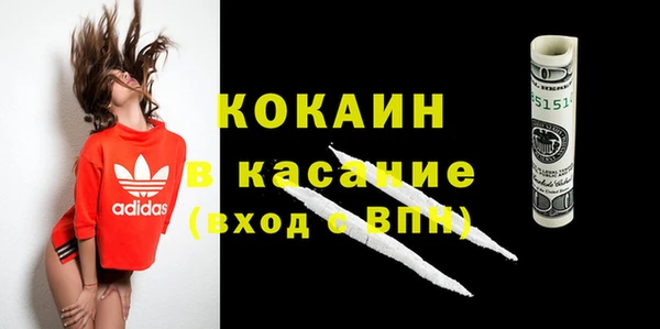 гашик Пересвет