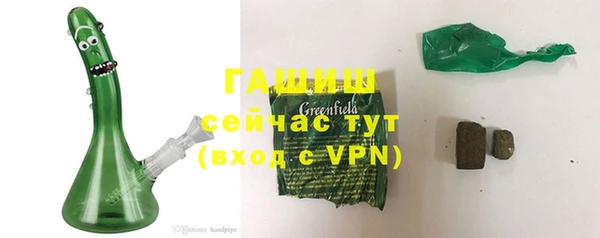 гашик Пересвет