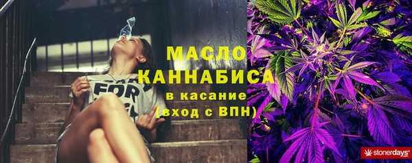 гашик Пересвет