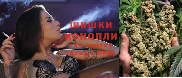 сатива Переславль-Залесский