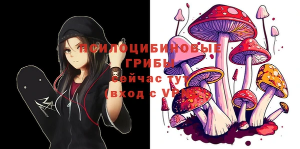 гашик Пересвет