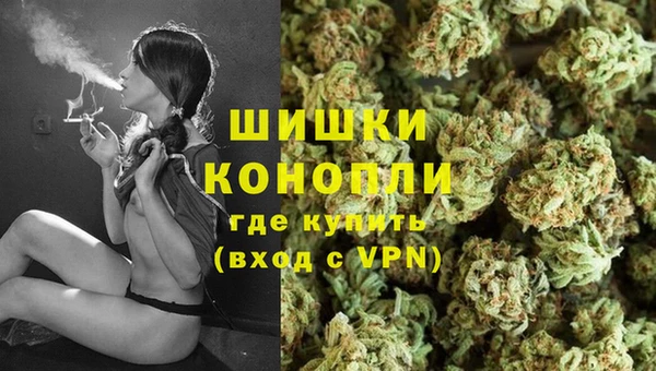 сатива Переславль-Залесский