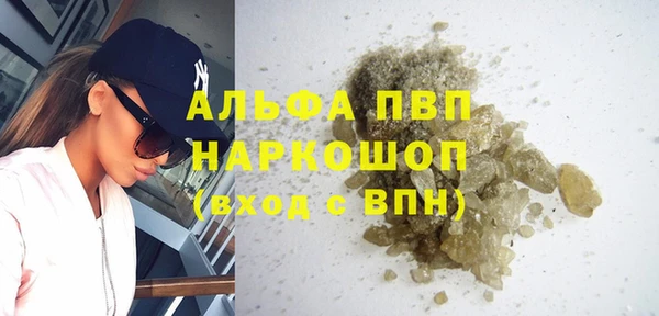 гашик Пересвет