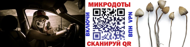 МЕГА как войти  где купить наркотик  Кудымкар  Псилоцибиновые грибы Psilocybine cubensis 